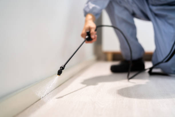 Licensed Pest Control service in Water Valley, MS - Show Me Pest Control